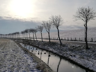 Ferienhaus Friedrichskoog Umgebung 29