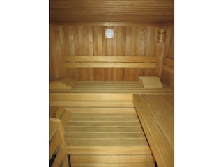 3-D Sauna