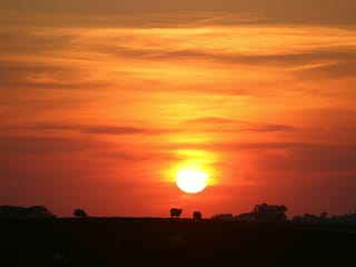 Vakantiehuis Varel Omgeving 19