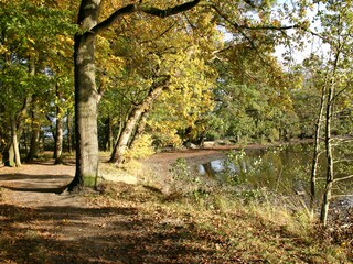 Vakantiehuis Varel Omgeving 15