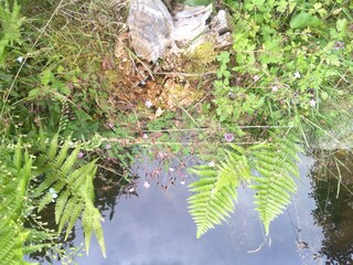 Appartamento per vacanze Seeboden Ambiente 15