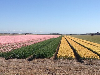 Casa per le vacanze Julianadorp Ambiente 21
