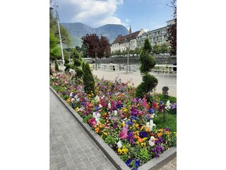 Appartamento per vacanze Algund Ambiente 23