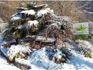 Appartamento per vacanze Algund Registrazione all'aperto 13