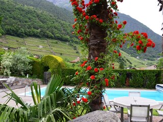 Appartamento per vacanze Algund Registrazione all'aperto 5