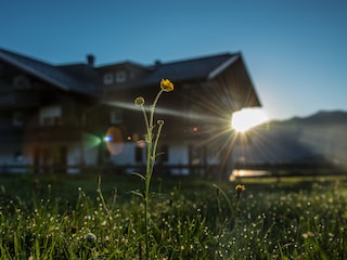 Sonnenaufgang