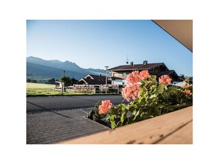 Blick vom Haus Richtung Osten