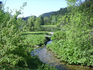 Bachlauf zum Natursee