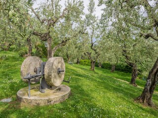 Casa per le vacanze Larciano Registrazione all'aperto 5
