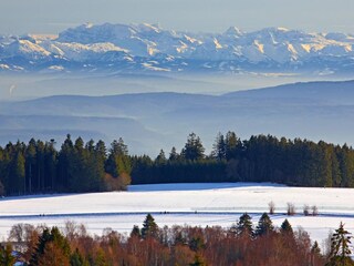 Blick von der Gemeinde Höchenschwand auf die Alpen