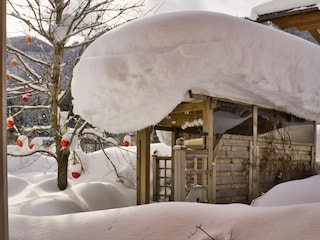 Vakantieappartement Forstau Omgeving 31