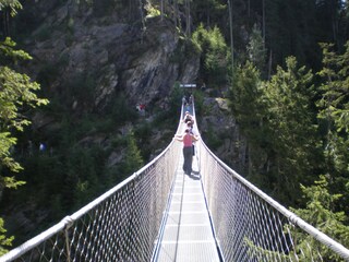 Vakantieappartement Forstau Omgeving 33