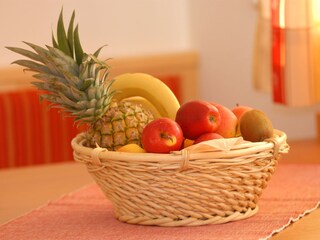 Appartamento per vacanze Forstau Caratteristiche 15