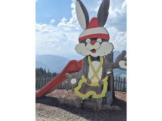 Vakantieappartement Forstau Omgeving 37