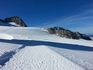 Appartamento per vacanze Forstau Ambiente 29