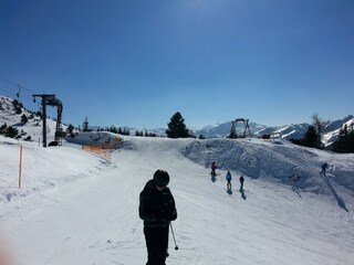 Appartamento per vacanze Forstau Ambiente 30