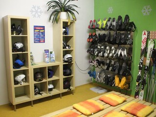 Appartamento per vacanze Forstau Caratteristiche 22