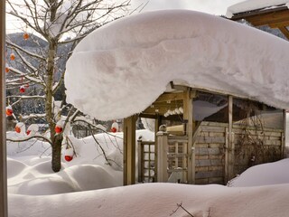 Appartamento per vacanze Forstau Registrazione all'aperto 5