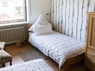 Appartamento per vacanze Birkenfeld (Hunsrück) Caratteristiche 15