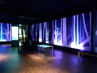 Appartamento per vacanze Birkenfeld (Hunsrück) Ambiente 20