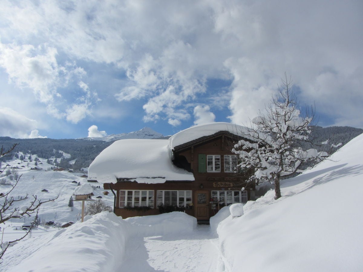 house in winter