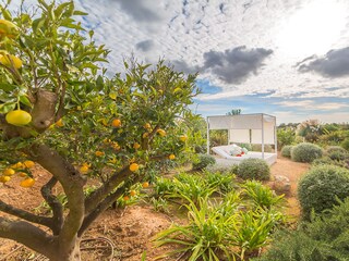 Villa Campos Registrazione all'aperto 6