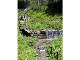 Barefoot and treading water in Taisten - Kneippweg