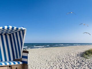 Strand mit vielen Sandbänken, perfekt für die Kleinen