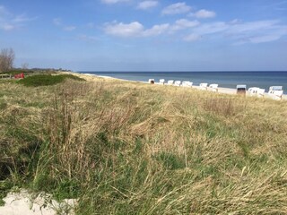 Die Ostsee vor der Haustür - genießen Sie die Aussicht