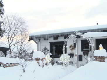 Ferienhaus Blockhaus im Harz mit Sauna