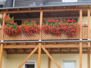 Holiday apartment Graach an der Mosel Outdoor Recording 1