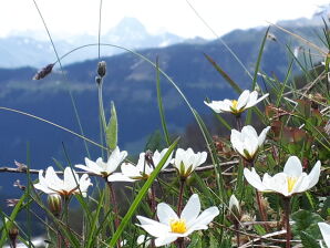 Vakantiehuis Karolina