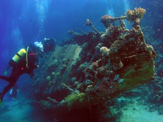 Diving in Porec