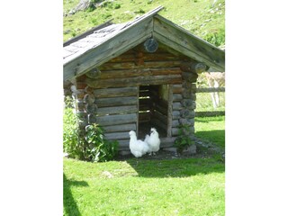 Appartamento per vacanze Krimml Registrazione all'aperto 4