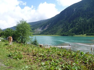 Appartamento per vacanze Krimml Registrazione all'aperto 6