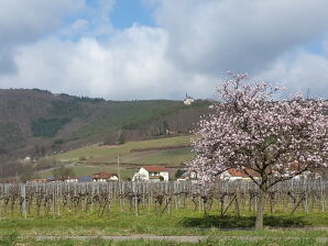 Ferienwohnung Kreisel - Burrweiler - image1