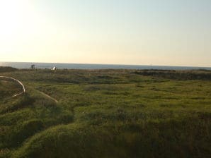 Apartment Kennedy - Egmond aan Zee - image1