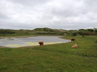 Appartamento Egmond aan Zee Ambiente 26