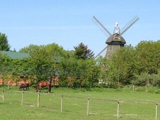 Achter de Möhl