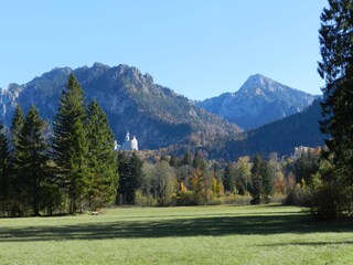 Park with castle Neuschwanstein