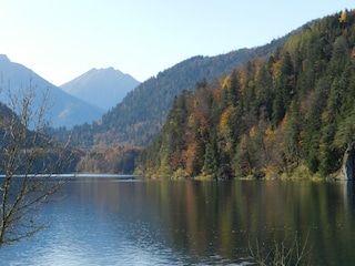 Alpsee