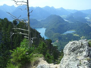 View to Alpsee and Schwansee