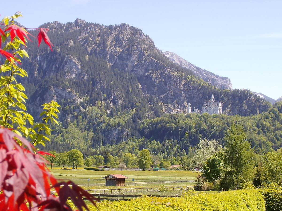 Freier Schlossblick von Ihrer Terrasse !