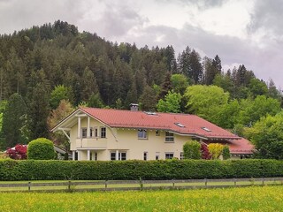 Frühling
