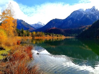 Holiday apartment Schwangau Environment 25