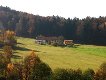 Ferienwohnung Nickl