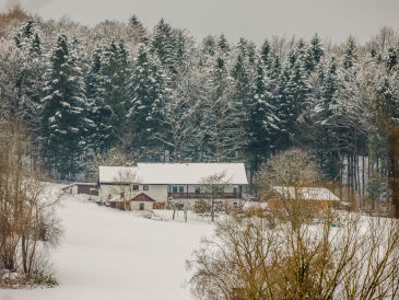 Ferienwohnung Nickl