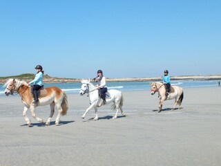 Casa per le vacanze Audierne Ambiente 13