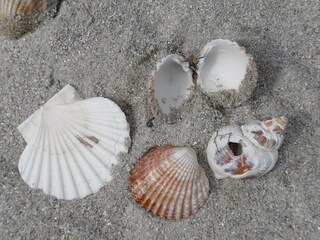 Casa per le vacanze Audierne Ambiente 15