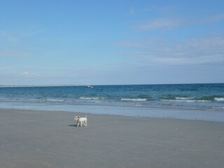 Casa per le vacanze Audierne Ambiente 20